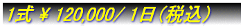 1�� \ 60,000/ 1���i�ŕʁj